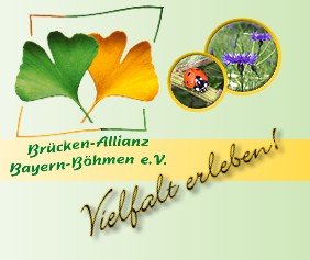 Klicken Sie bitte hier um zur Br�cken-Allianz Bayern-B�hmen e.V. zu gelangen